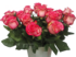 Селебрити